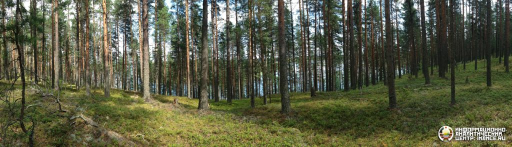 public-karelia-foto