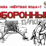 Оборонный пикник